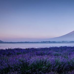 太熟悉你的关怀