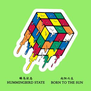 蜂鸟状态-向阳而生 | HUMMINGBIRD STATE-BORN TO THE SUN