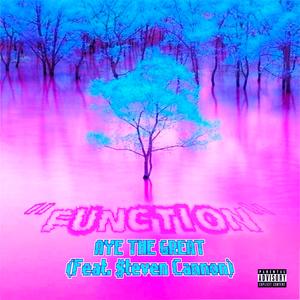 Function (feat. $teven Cannon)