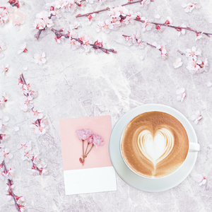 風に舞う花びらのように (feat. 山口隆博)