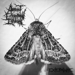 Some Things Can Only Be Accomplished with Bloodshed