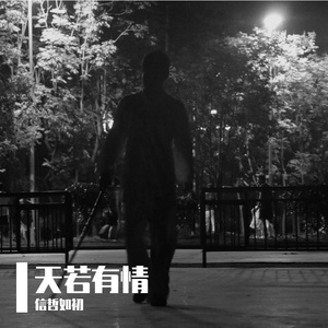 天若有情（翻自：张洪量）（《塞外奇侠》主题曲）