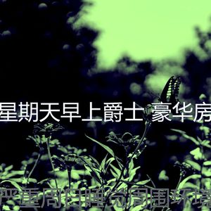 柔和的周日时刻