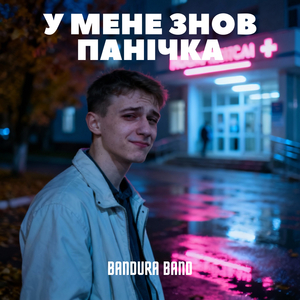 У мене знов панічка