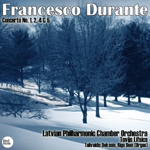 Concerto No. 2 in G minor: I. Affetuoso - Presto