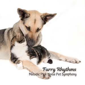 A Sleepy Hum of Gentle Snores