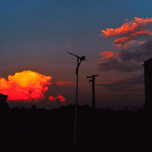 我不后悔曾爱过 (旋律)