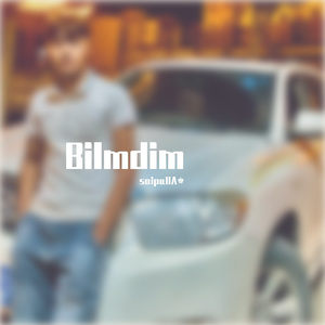 bilimidim