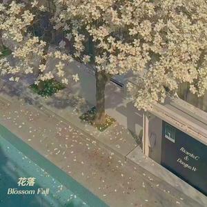 花落（Blossom Fall）
