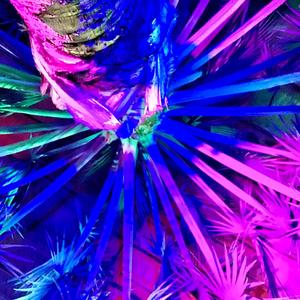 Xmaseves (Merry Christmas, Now I'm Leavin') (Studio Demo)