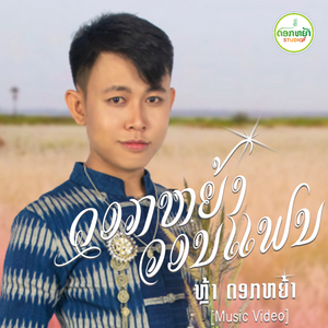 ດອກຫຍ້າວອນແຟນ