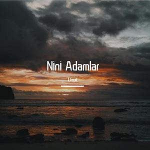 Nini Adamlar