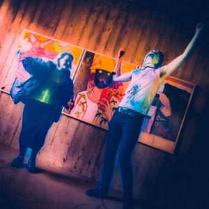 Löggan gerir oftast ekki neitt í mínum málum