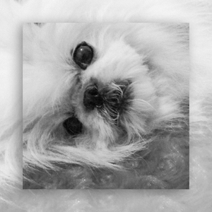 You Were My Best Friend