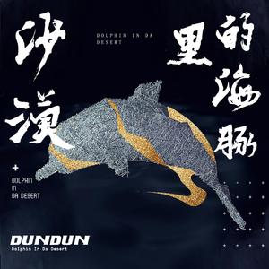 沙漠里的海豚