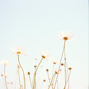 流れる時の中で