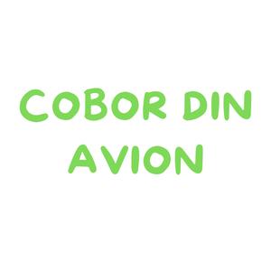COBOR DIN AVION