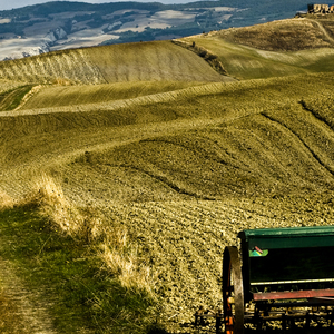活着就是胜利健康才是目的