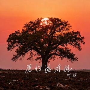 愿归途有风 (Cover 王佳音)