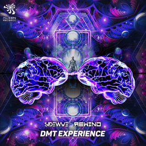 DMT Experience (Original Mix)