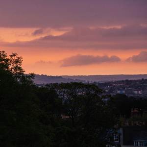 dawn chorus