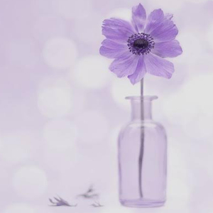 बलम जी झुठ मत बोली