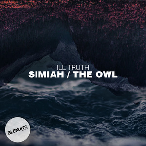 The Owl