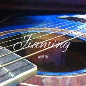 老苗苗-成都（吉他）（翻自 赵雷）