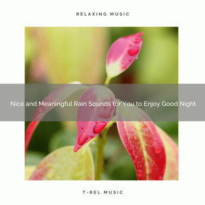 Nice and Meaningful Rain for You to Rest Now