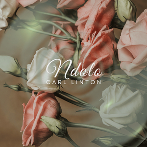 Ndolo
