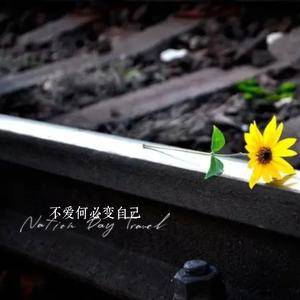 陪我过个冬（秋去冬来月如风）