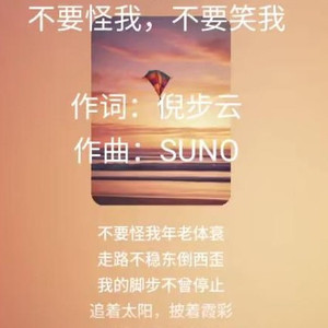 不要怪我，不要笑我