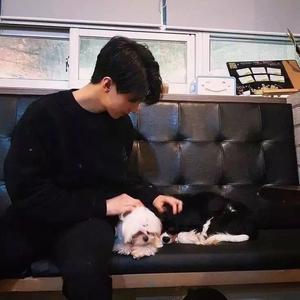 菊花爆满山-苏泽bro(翻自马博)