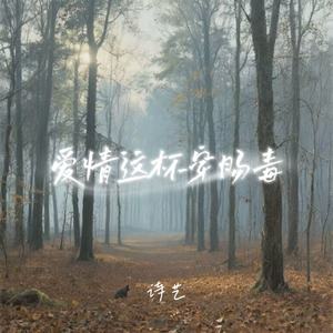 爱情这杯穿肠毒