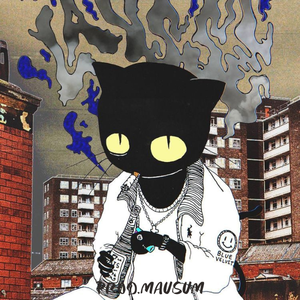 【Free】黑猫匪帮
