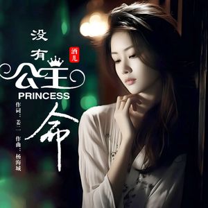 没有公主命