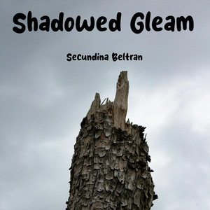 Shadowed Gleam