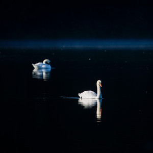 Ascended Vibrations(Ok E Ti Remix)