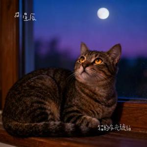 猫的夜光琥珀