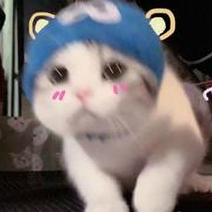 希望吹过我的风可以绕圈去拥抱你