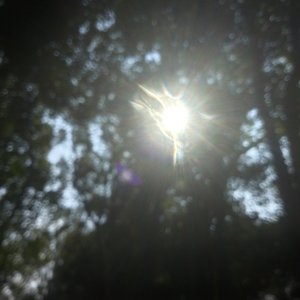 致春季的最后一天