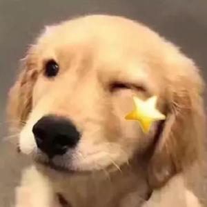 小蓓蕾组合-生日快乐歌【当代版】（AB冉 remix）