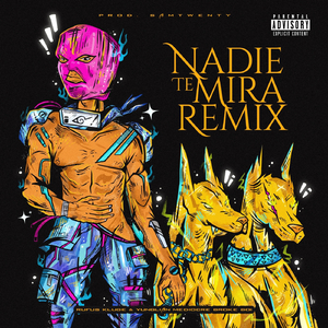 Nadie Te Mira (Remix)