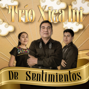 Una Noche Me Embriagué