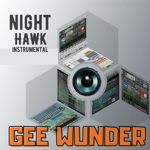 Nighthawk (Instrumental)