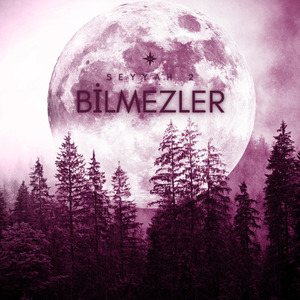 Bilmezler