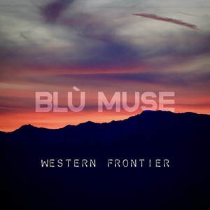 Bison Beneath Northern Stars