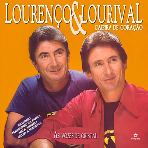 Franguinho na Panela