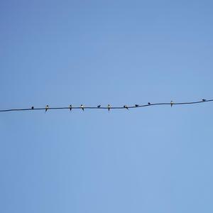 Breaktrough (feat. Skeptic)