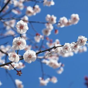 最远的你是我最近的爱